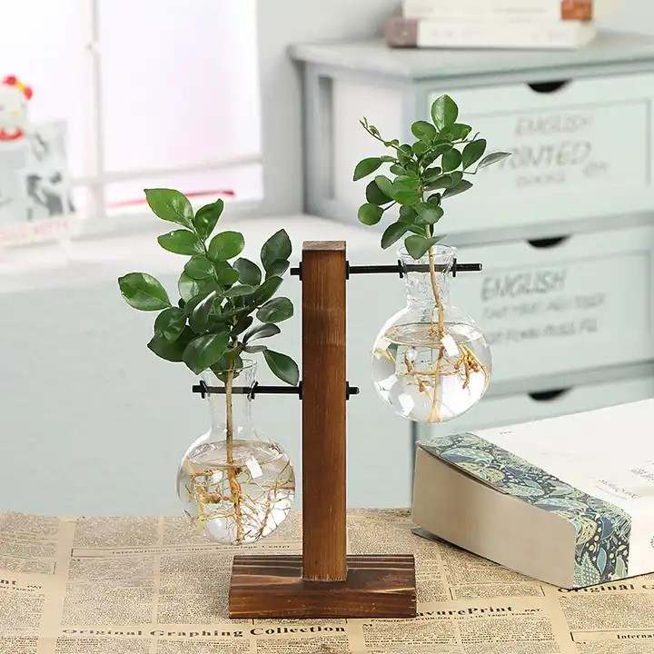 Desktop Plant Terrarium