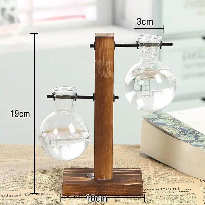 Desktop Plant Terrarium