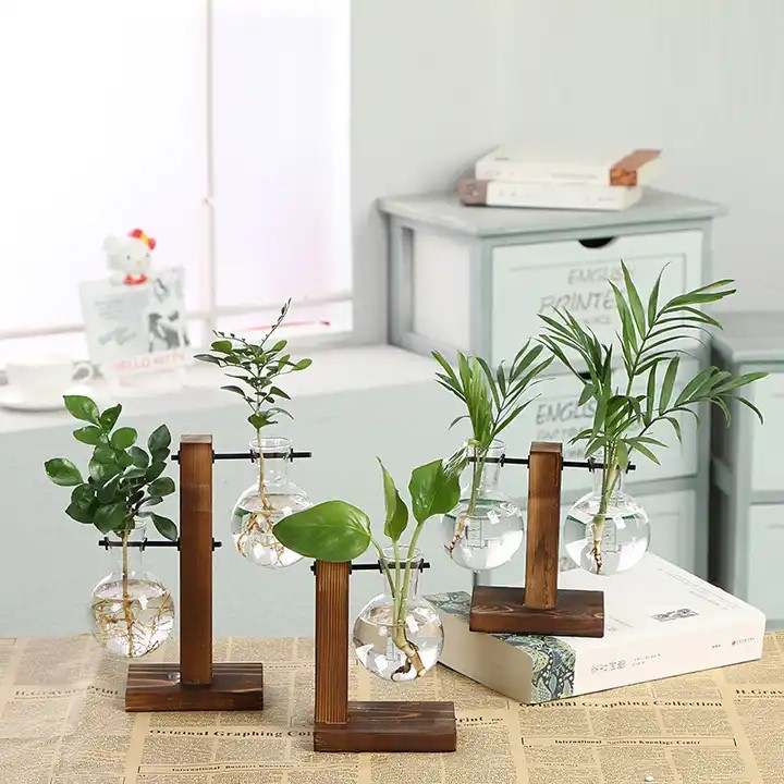 Desktop Plant Terrarium