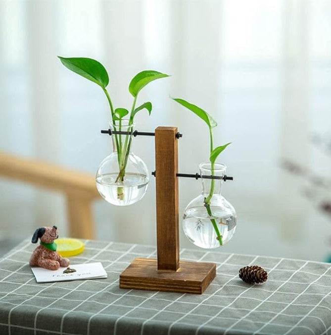 Desktop Plant Terrarium