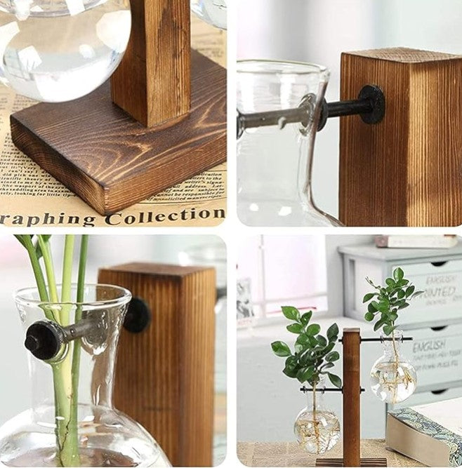 Desktop Plant Terrarium