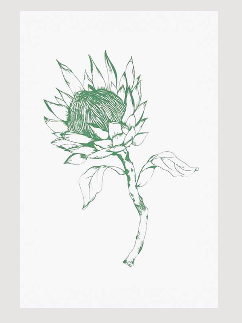 Green King Protea - Tea Towel